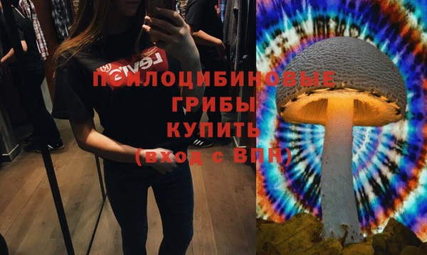 мдпв Абинск