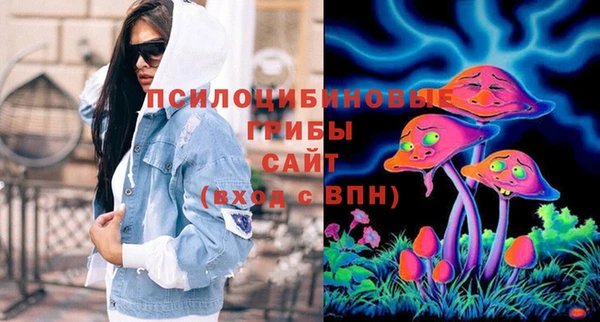 молекула духа Алексеевка