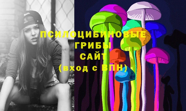 мдпв Абинск
