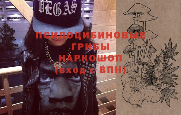 прущие крисы Абаза