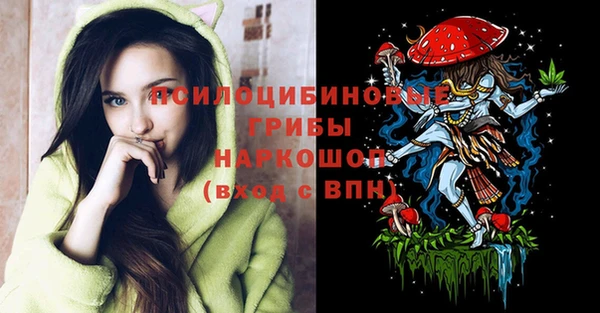 прущие крисы Абаза