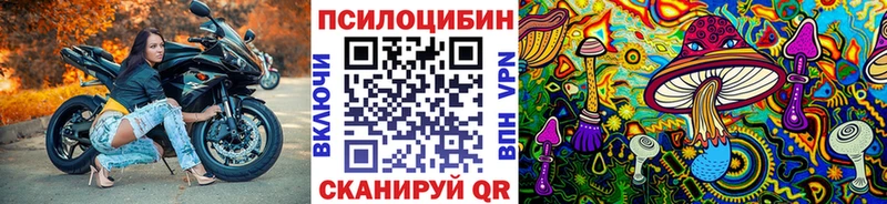 купить наркотики цена  Краснозаводск  Галлюциногенные грибы Cubensis 